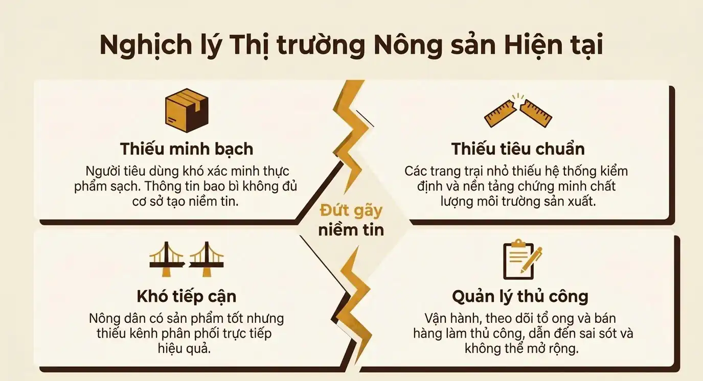 slide-8